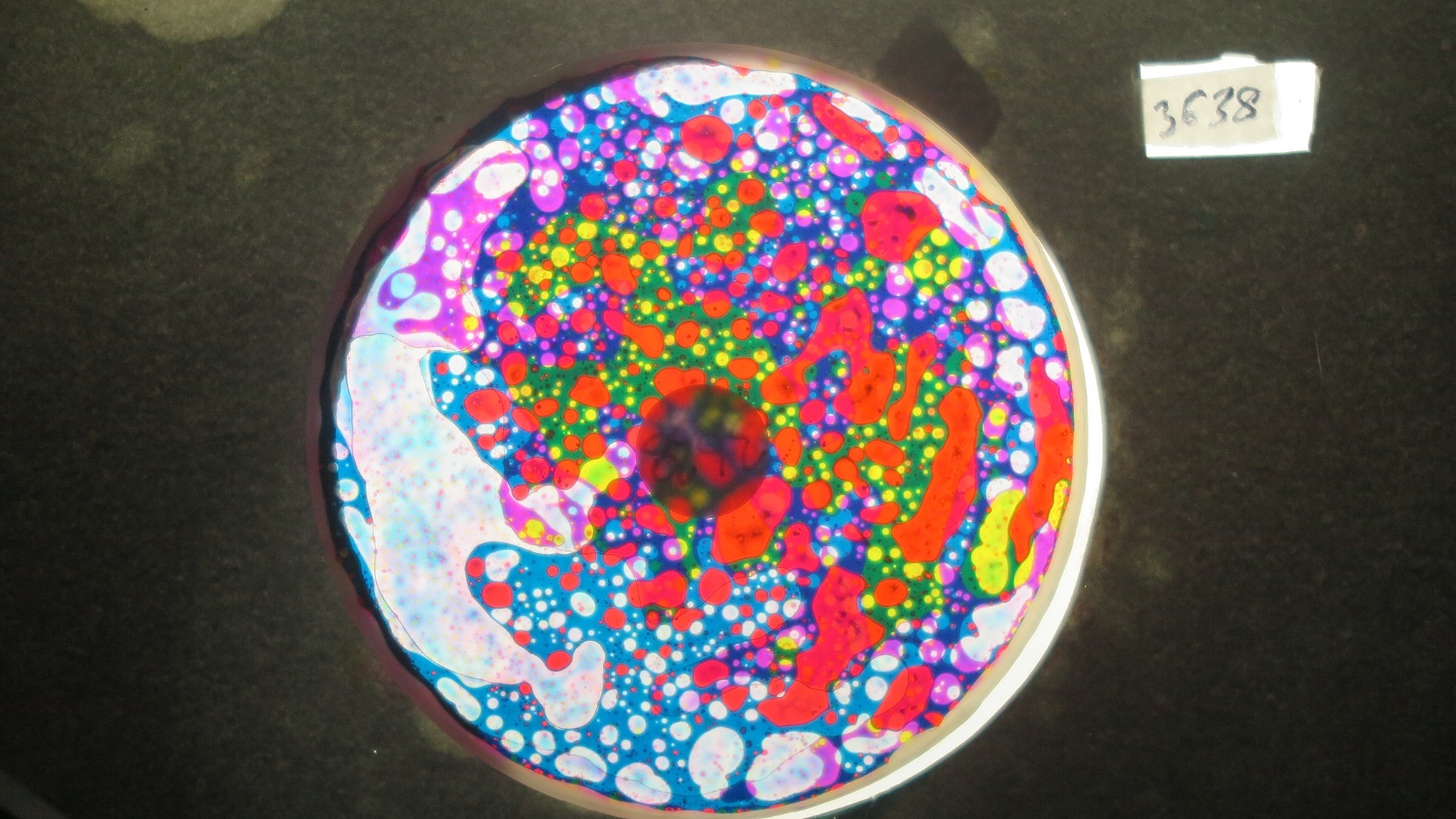 BV3638 bubble vision oil wheel